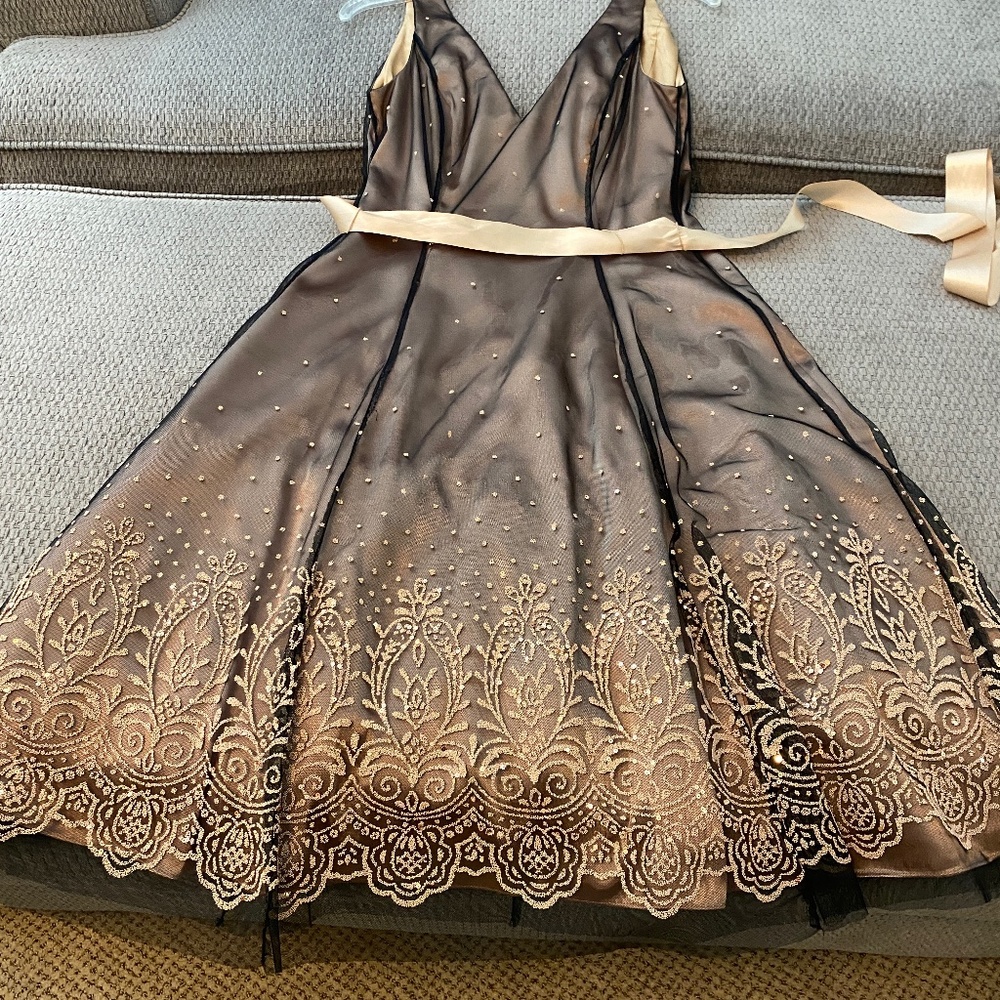 Adrianna Papell Beaded Dress (A line)